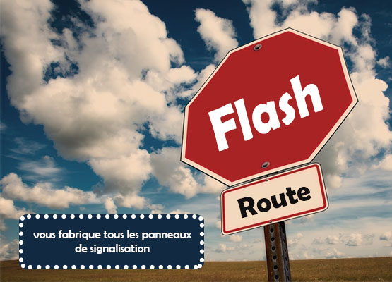 flash route1